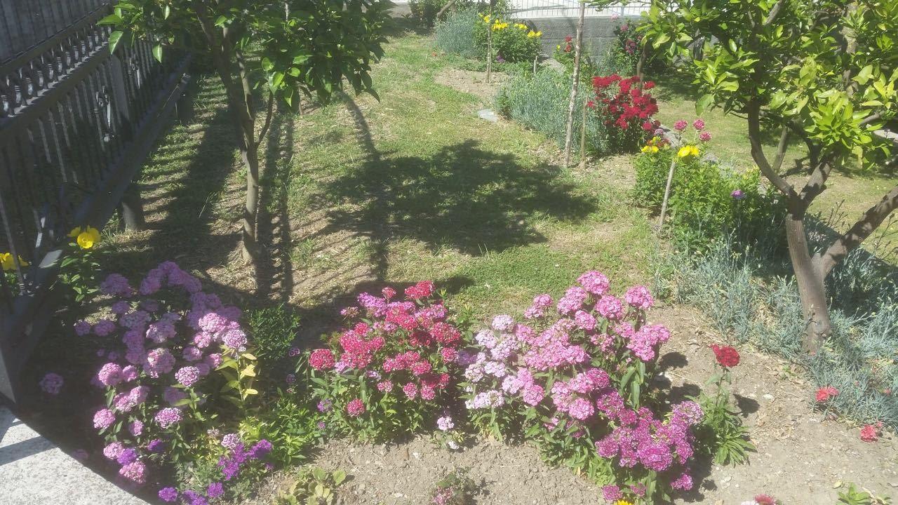 Guesthouse Kodre Ulcinj Kültér fotó